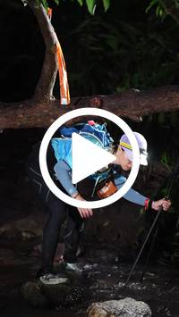 BIB:  <button type="button" onclick="openModal(27513947)" class="btn btn-primary btn-sm float-right" data-toggle="modal" data-target=".modal-high-quality">
                <i class="fa fa-download"></i> Download
                </button>